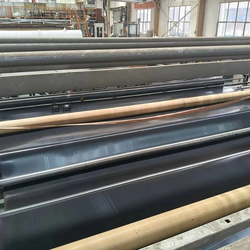 Heavy Duty Custom HDPE Geomembrane Waterproof Sheet for Pond Reservoir Canal Landfill Mining and Construction Projects