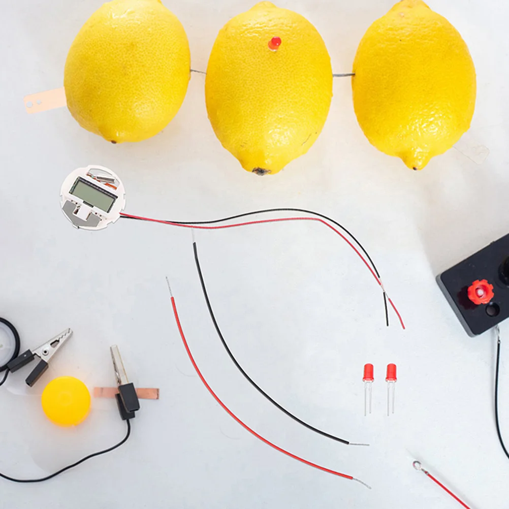 1Set Fruit Science Experiment Kit DIY Potato Clock Making Physics Educational Kit Science Project for Students
