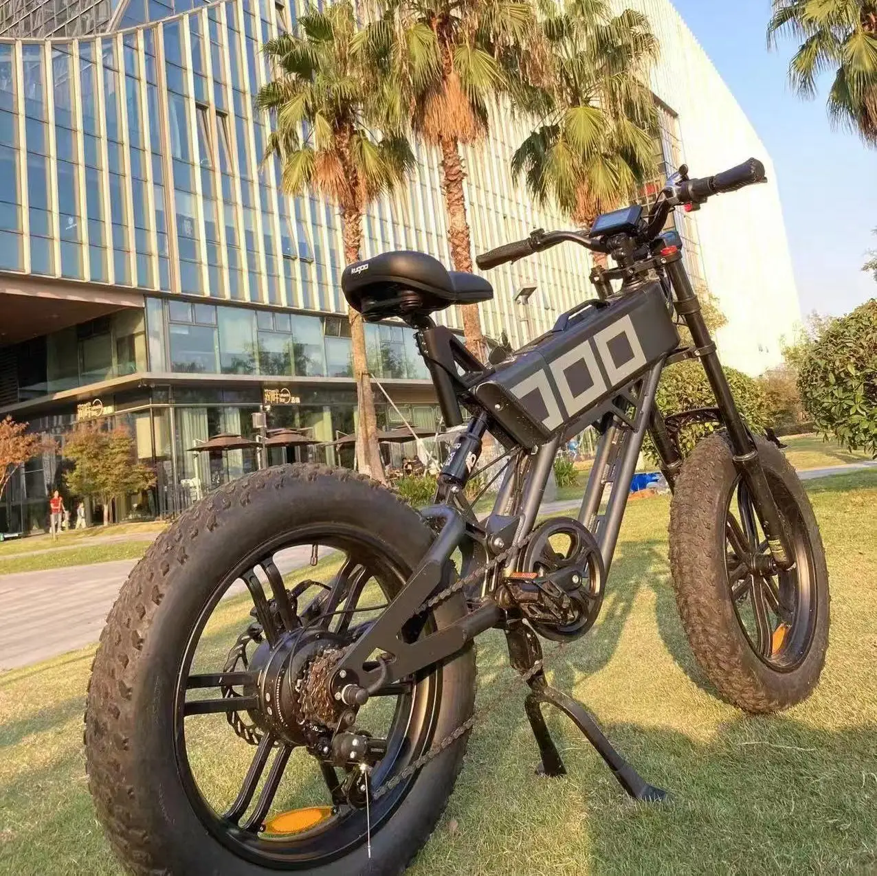 STLF موضة بالجملة الوافدين الجدد 2025 دراجة كهربائية للبالغين V8 V20 H9 750 واط 10000 واط 48 فولت E الدراجة الدهون الإطارات 1000 واط Ebike Cen