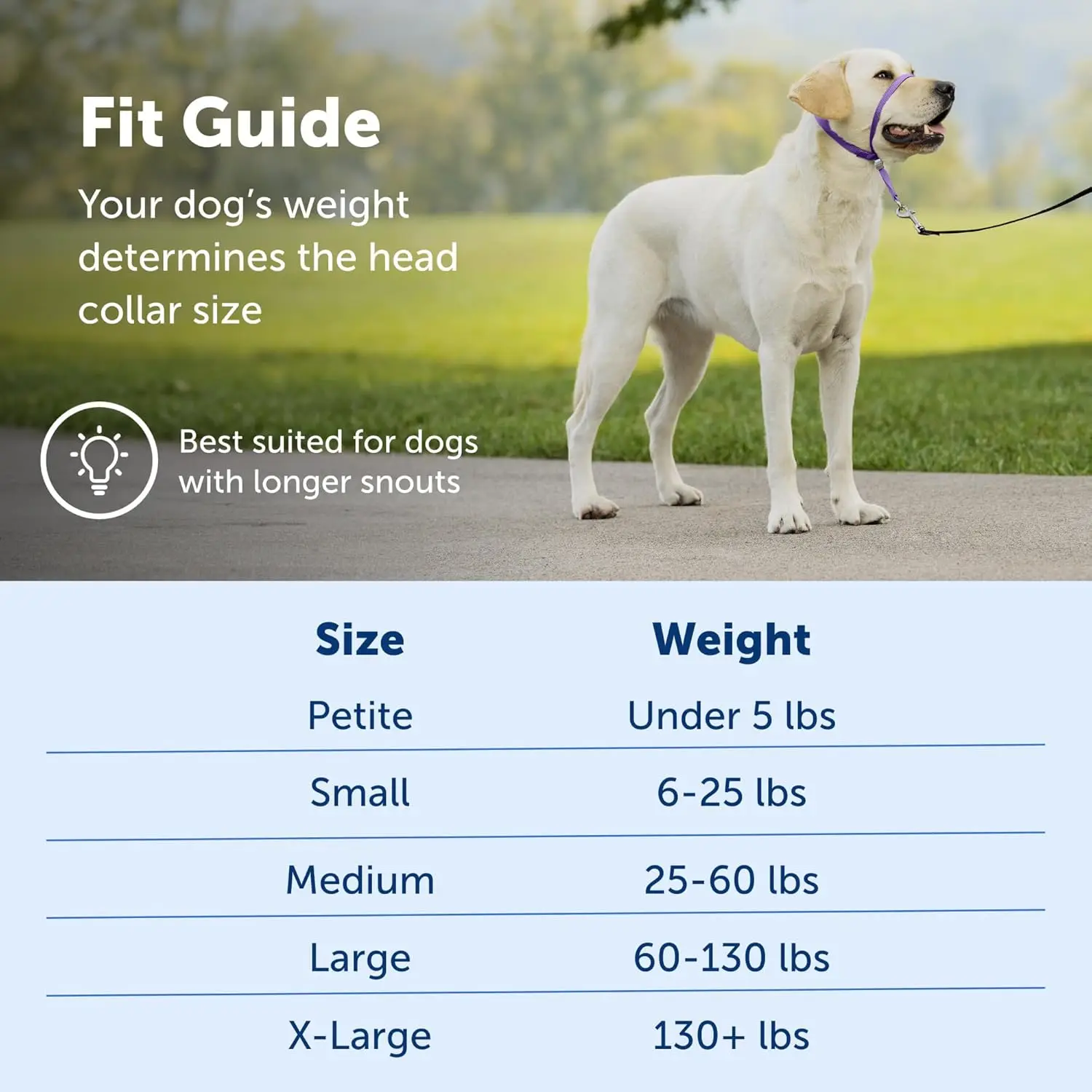 Gentle Leader Headcollar No-Pull Dog Collar Helps Improve Walks Durable Nylon Construction Padded Nose Loop Adjustable Fit view 6