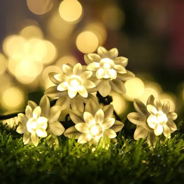 Solar Butterfly String Lights – 16ft 20LED Warm White, Waterproof IP65, 8 Modes, Auto On/Off, For Garden, Patio, Wedding, Holiday – Solar Powered