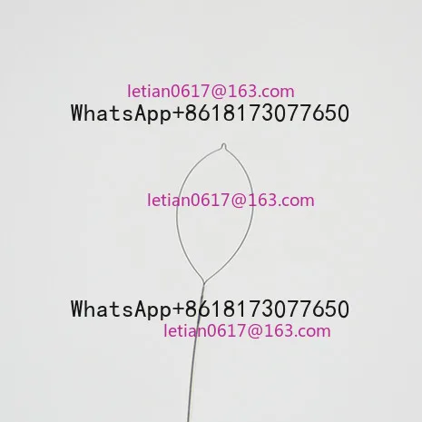 

Disposable Items Hexagon Polypectomy Snare