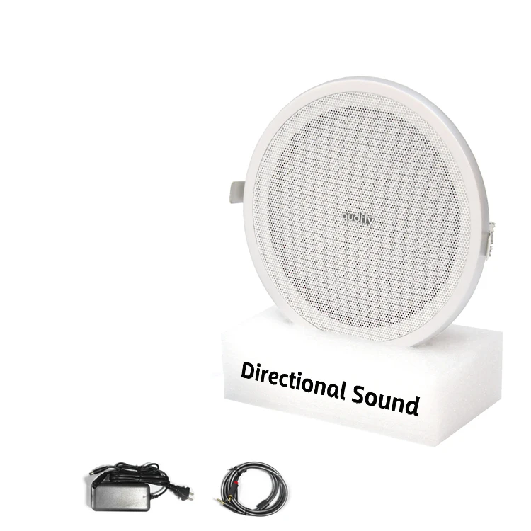 Revolutionary Audio Technology Minimal Sound Leakage Ceiling Mount Parametric Ultrasound Directional Sound Speakers For Museums