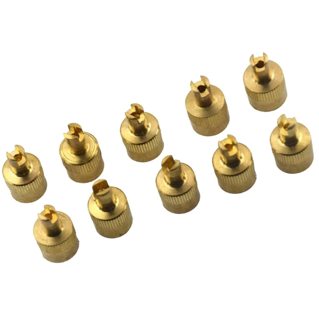 10 Pieces Motorcyle Car Slotted Head Valve Stem Caps with Core Remover Tools