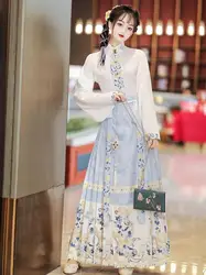 Chinese Ming-made Hanfu Spring New Improved Hanfu Dress Set Horse Face Skirt  Daily Fairy Ancient Wear Women Hanfu Dress