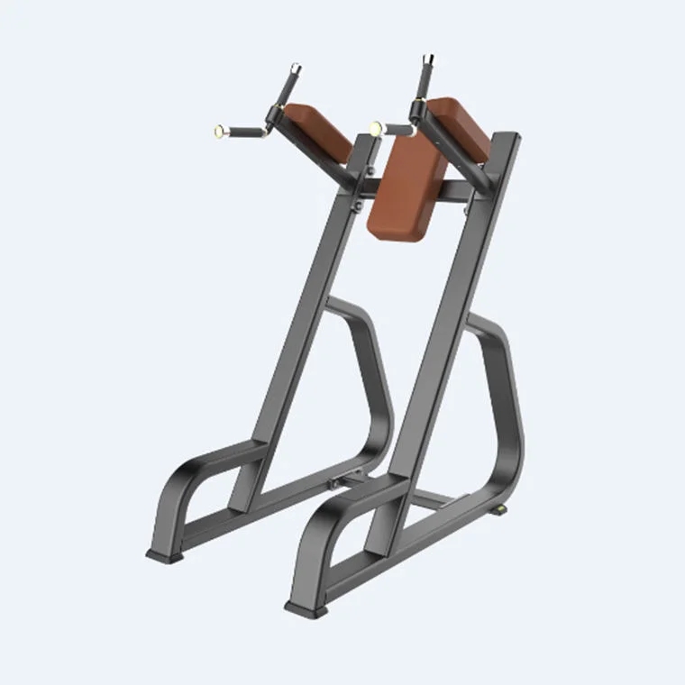 2026 Manufacturer Direct Selling Gymnasium Professional Fitness Equipment Single Parallel bar Trainer Household Commercial Pull-