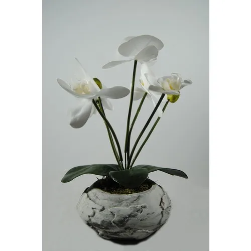 Marble Look World Wet In Pots Orchid Arrangement