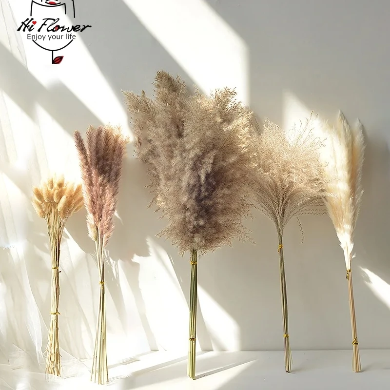 

110PCS Natural Pampas Dried Flowers Bunny Rabbit Tail Grass Wedding Decor Artifical Flower Lagurus Ovatus Home Vase Decorations