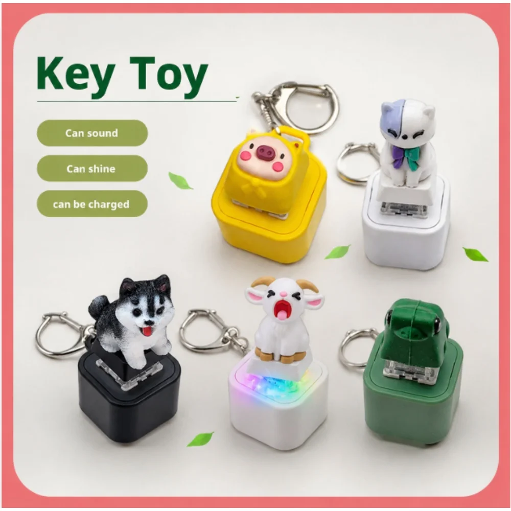 Croaking Frog Fidget Toy Keychain Rechargeable Frog Keychain with Sound & LED Lights, Funny Frog Keyboard Clicker Stress Relief