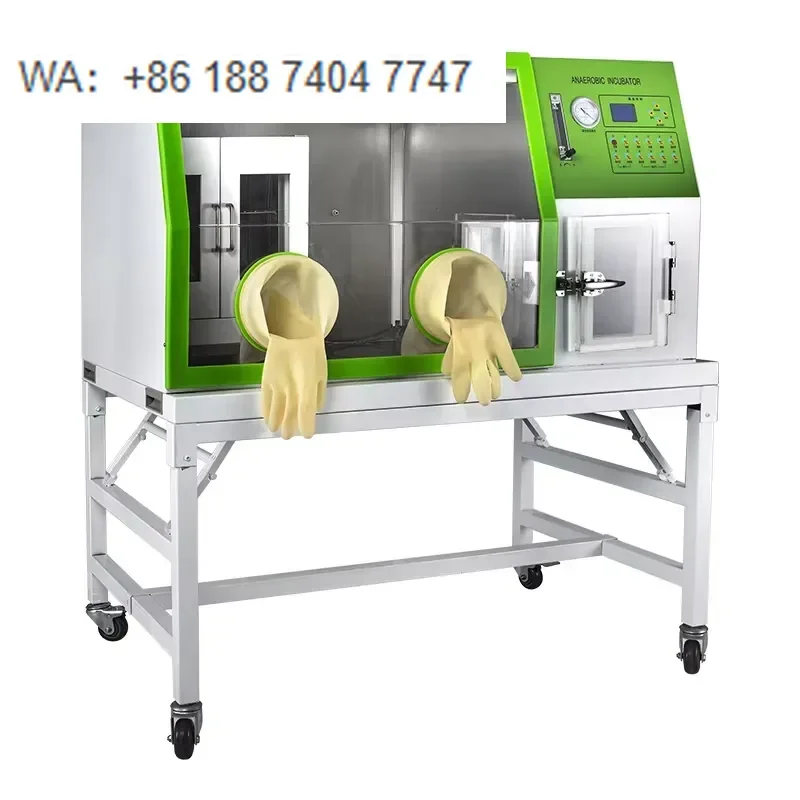 for  Biochemical Incubator Double Door Anaerobic Chamber with LCD Display Stainless Steel Model LAI-3