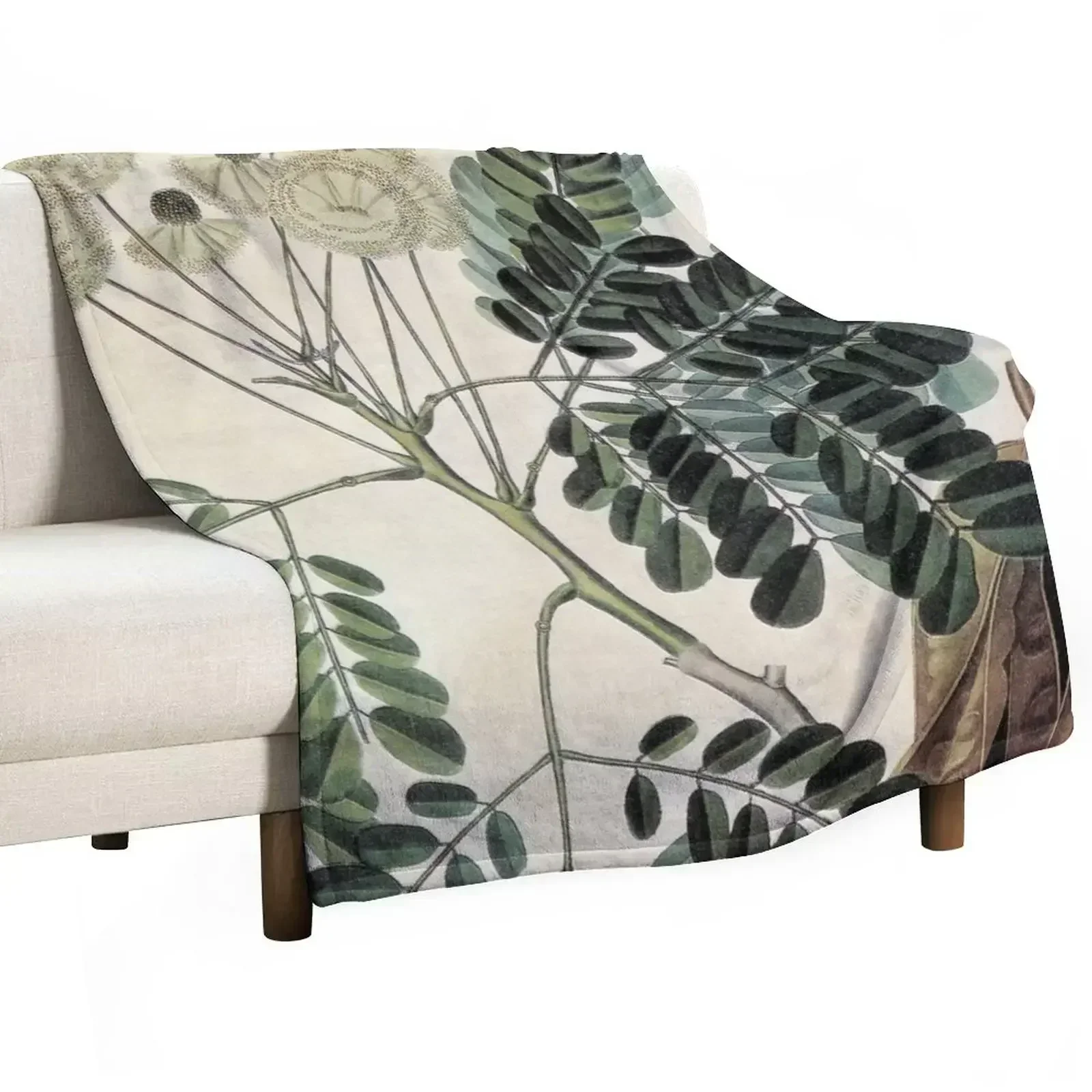 

acacia vintage botanical print Throw Blanket Designers Travel Blankets