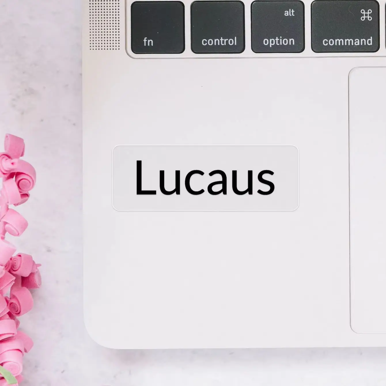 1-250PCS Custom Personalized Name Stickers for Lunch Boxes,Headphones, Suitcases,Candy Bags,Pencil Cases&Gift Boxes Labels image 4