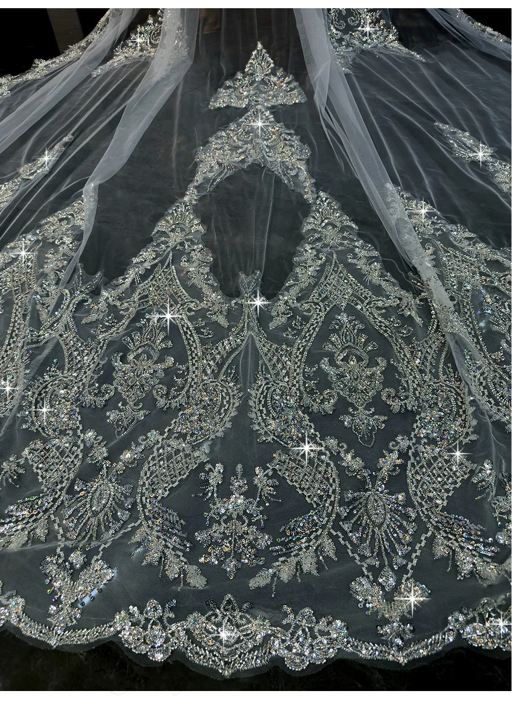 Exquisite Mantilla Wedding Veils with Comb Crystal with Applique Beads Long Cathedral Bridal Veils Real Pictures L&P DQL Studio image 3