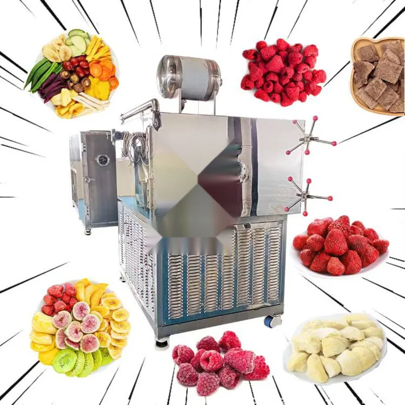 Рисунок 3 - Промышленная сублимационная сушилка для фруктов