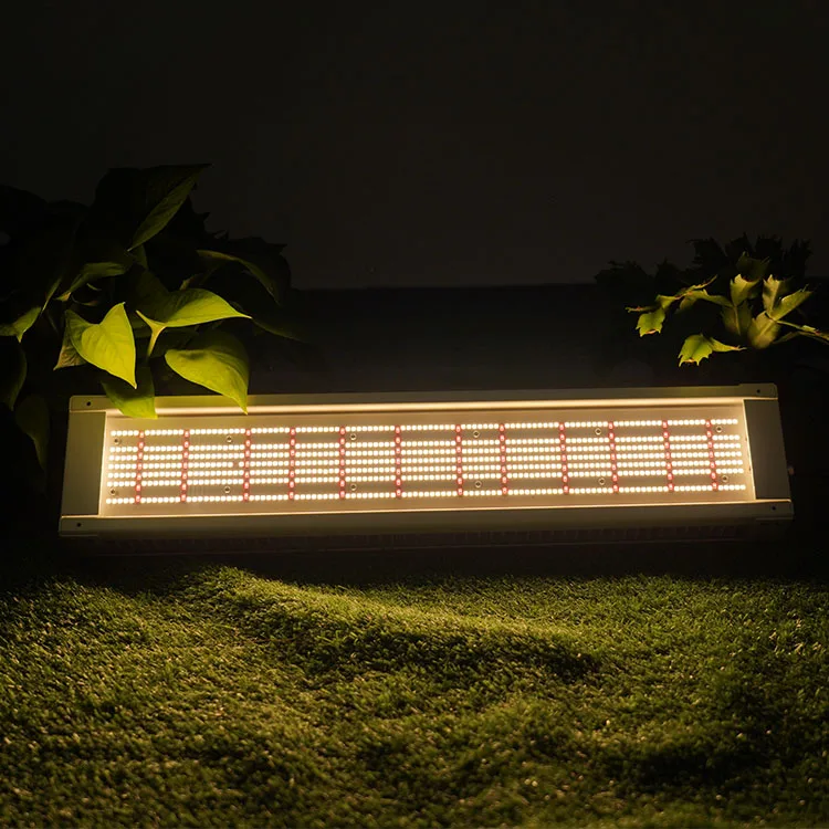 

Quantum Plate Full Spectrum LED Grow Lights for Aquariums, Succulents and Seedling Cultivation