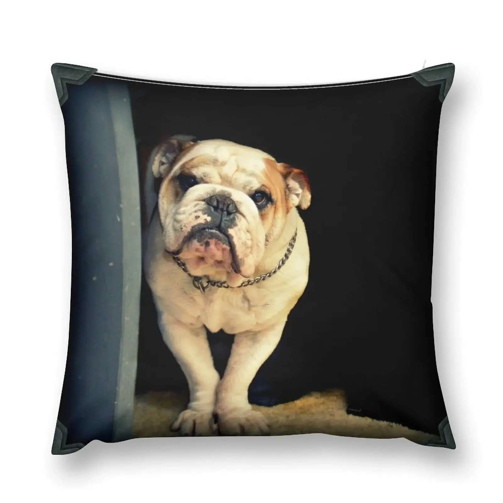 ~Floyd~ Throw Pillow Pillow Cases Decorative Pillowcase pillow cover christmas