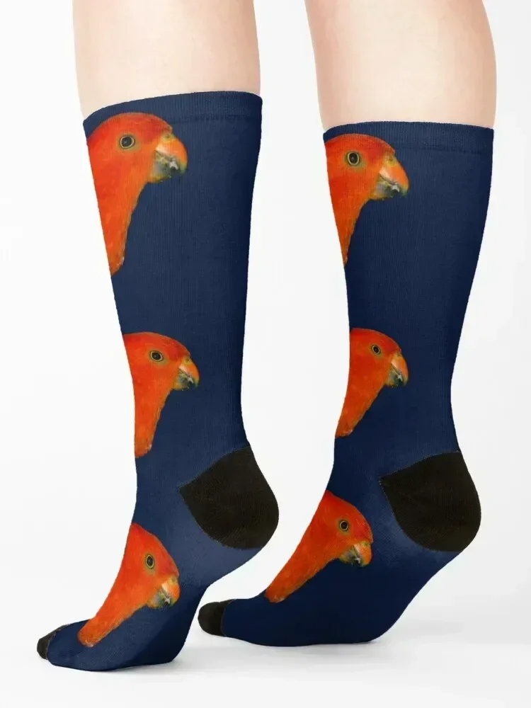 Australian King-Parrot male Socks ankle football with print halloween Ladies Socks Men's