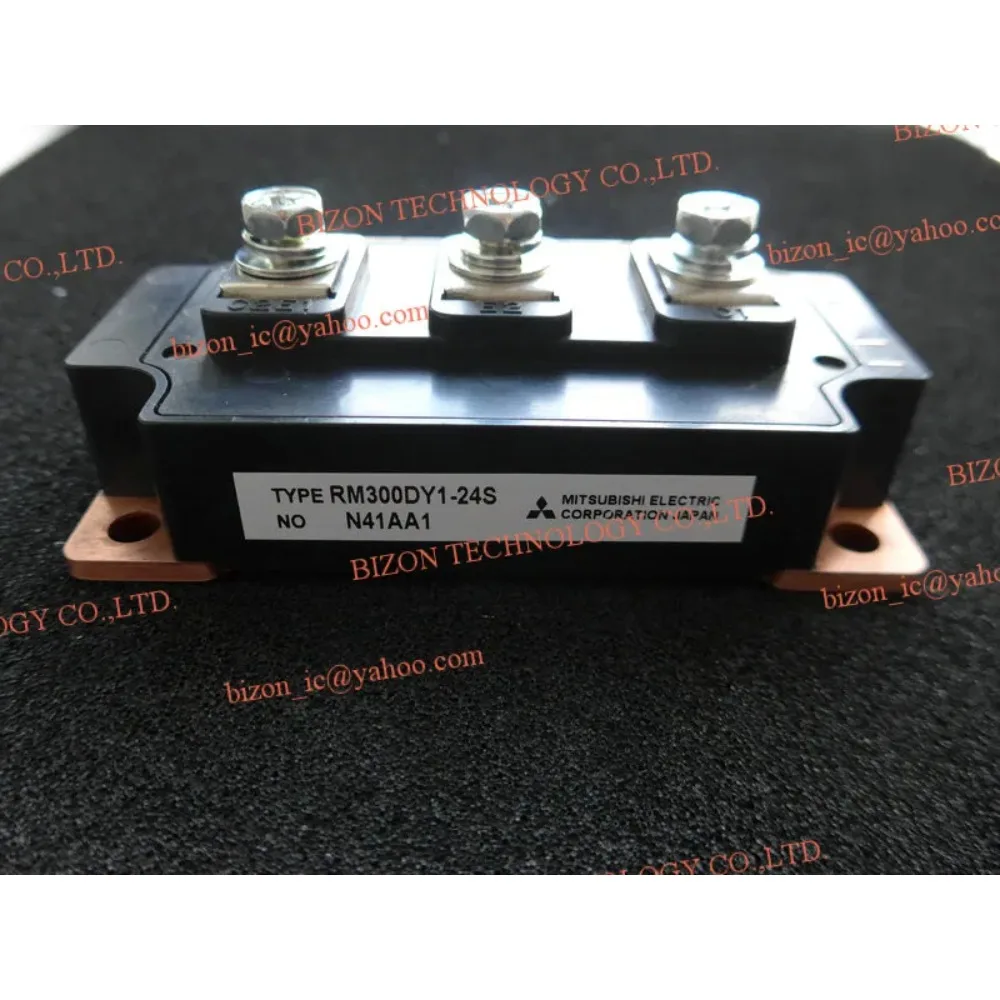

RM300DY1-24S