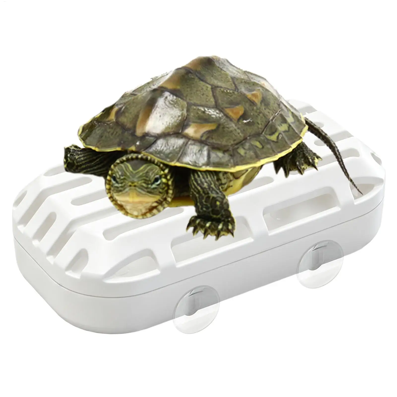 Schildkröten-Tank Abfallsammler Reptilien-Abfallbehälter Schildkröten-Habitat-Zubehör Saugnapf-Toilette
