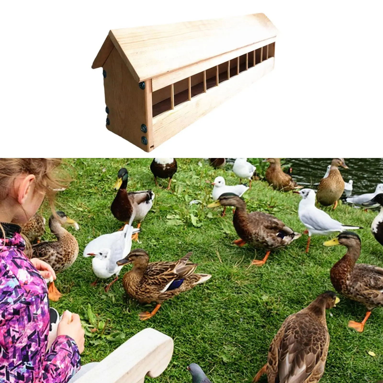 Wooden Pigeon Feeder Bird Dispenser Slot Container Wood House Design Garden Bird Feeding Bowl for Birds Poultry Ducklings Chicks