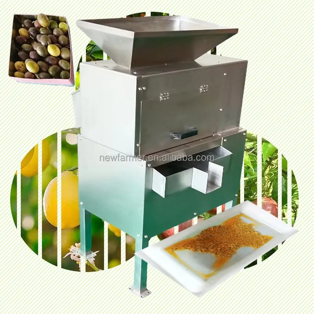 Commercial Automatic Fruit Beating Machine Stainless Steel Dual Channel Yangmei Seabuckthorn Mango De Nucleating