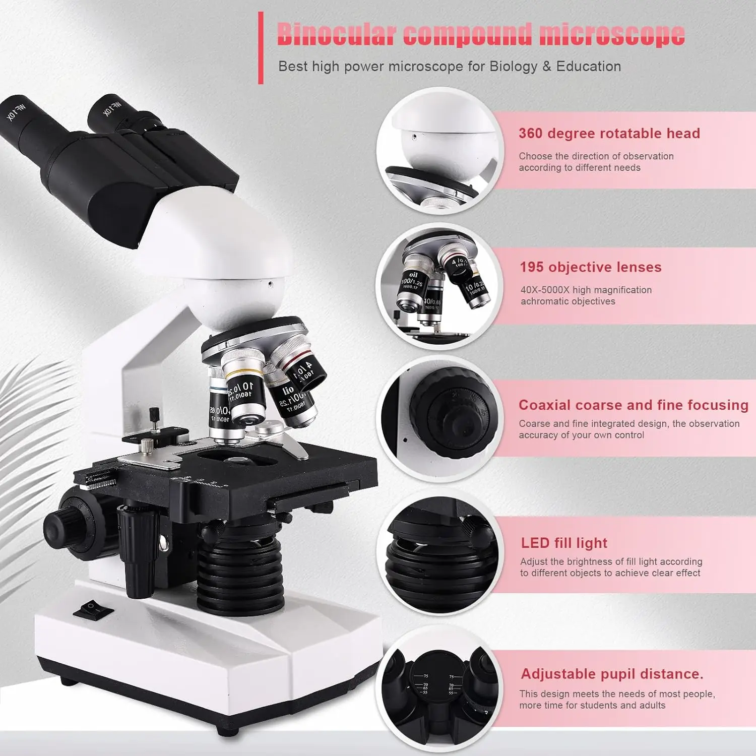 Microscope For Adults Wf10X And Wf25X Eyepieces, 40X-2000X Magnification Usb Camera, Microscope Suitable For Laboratory School