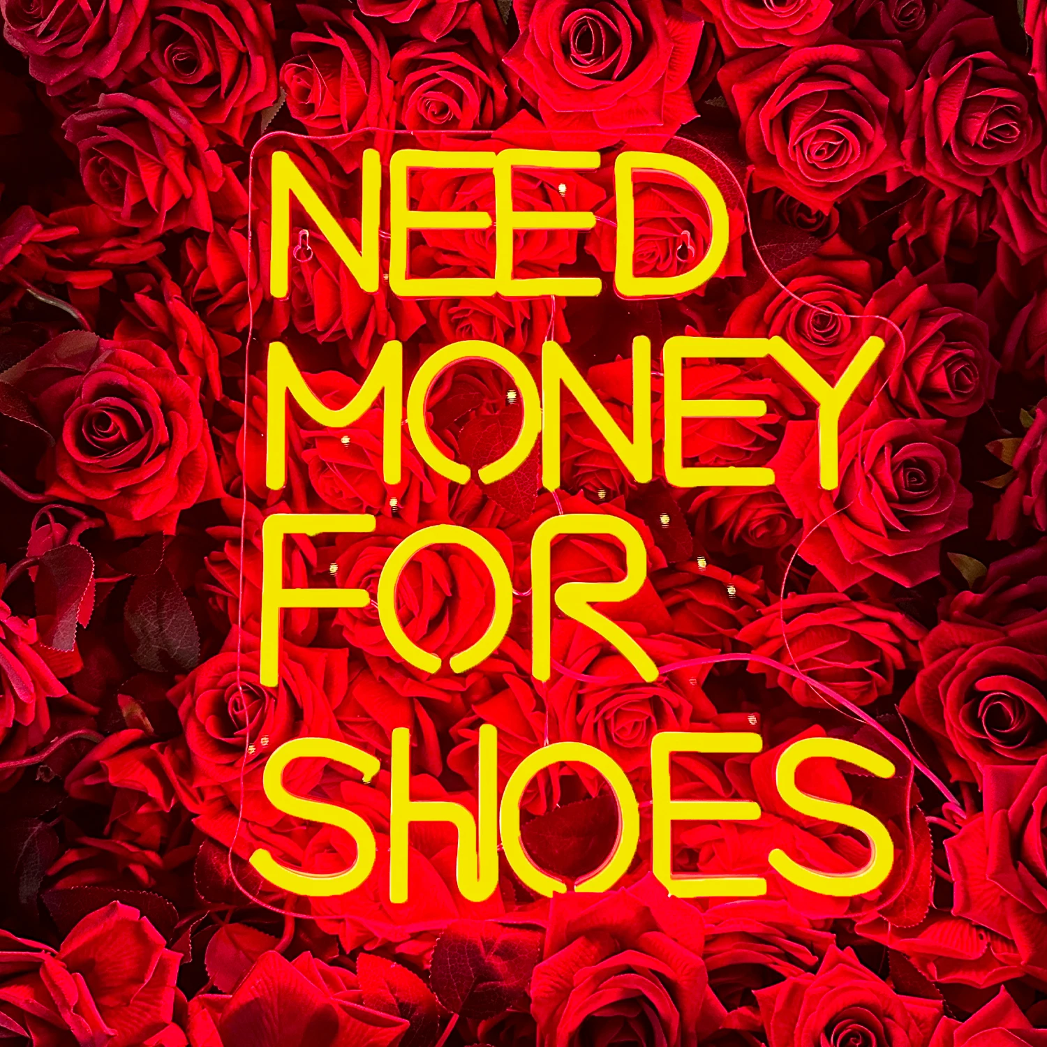 Need Money for Shoes Custom Neon Sign Home Bedside Studio Party Decor Personalized Neon Led Light for Wall Customized Neon Light