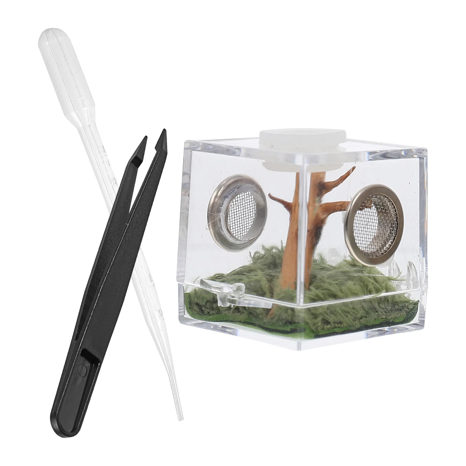 1Set Acrylic Spider Hatching Container Reptile Breeding Box Light Transmitting Wear Resistant Escape Proof Feeding Case for Pet