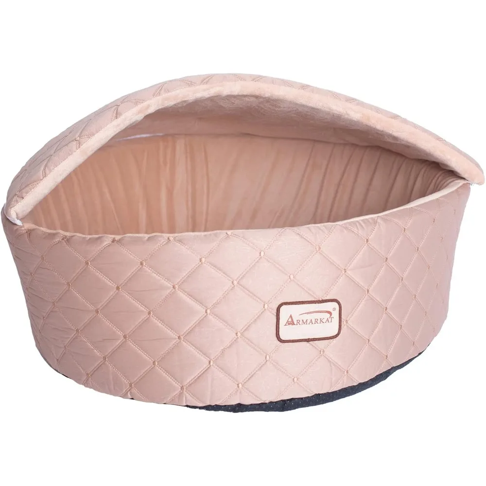 Mittelgroßer, leichter Aprikosen-Katzen-Ruhfleck