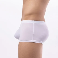 Summer Men Ice Silk Underwear Smooth Seamless Soft Breathable Briefs Shorts Panties Bulge Pouch Underpants Casual Swimwear