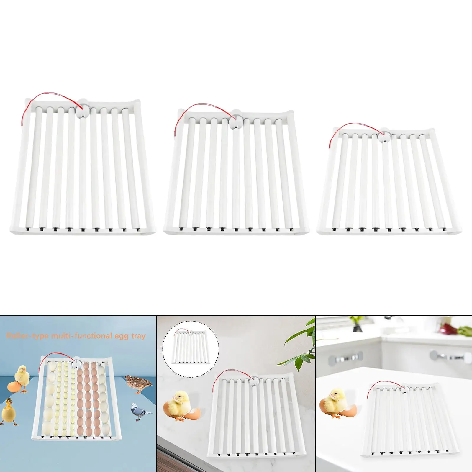 Automatic Egg Turner Hatching Machine Rolling Egg Tray Multipurpose Egg Hatcher 110V for Turkey Quail Bird Chicken Pigeon