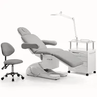 Luxury Grey Salon Furniture Esthetician Love Facial Chair Bed Electric Beauty Bed 3/4 Motors Massage Table