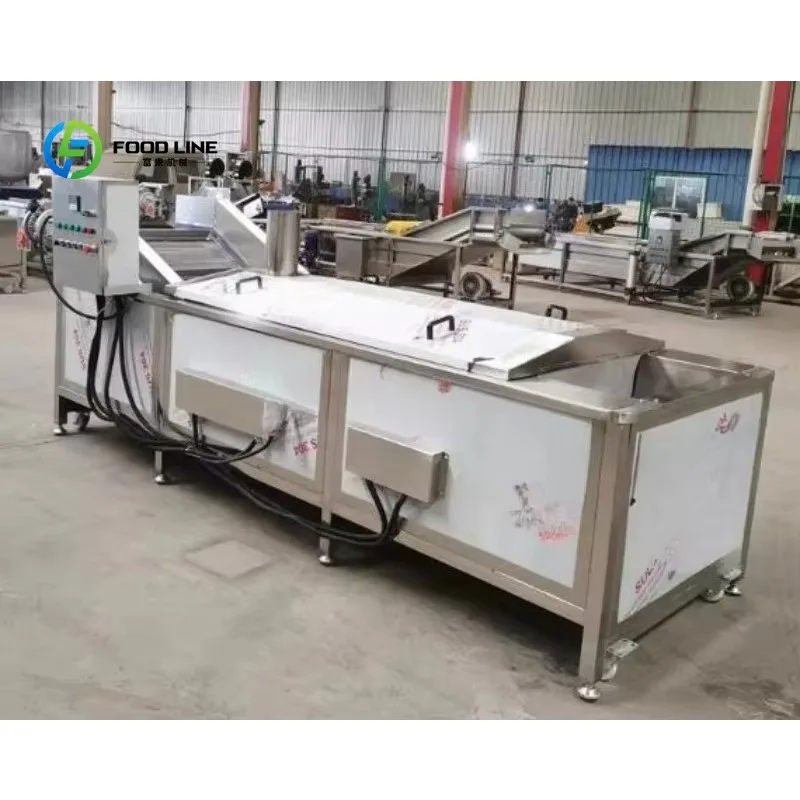 Customized size Mango Fruit Seaweed French Fries Frozen Vegetables Fruit Washing Vegetable Continuous Iron