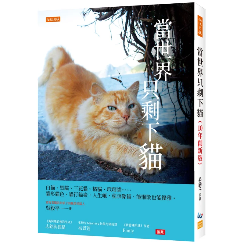 

Когда Мира левая с только кошками 10 лет Инновационное издание Белые кошки Черные кошки Каликовые кошки Оранжевые кошки Черепаховый кот