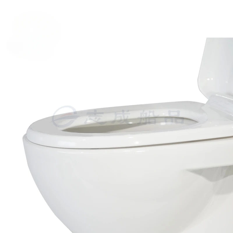 Zhicheng Yacht Ship RV 12V/24V Toilet with Water Absorption Function Ceramic White Export Quality Special