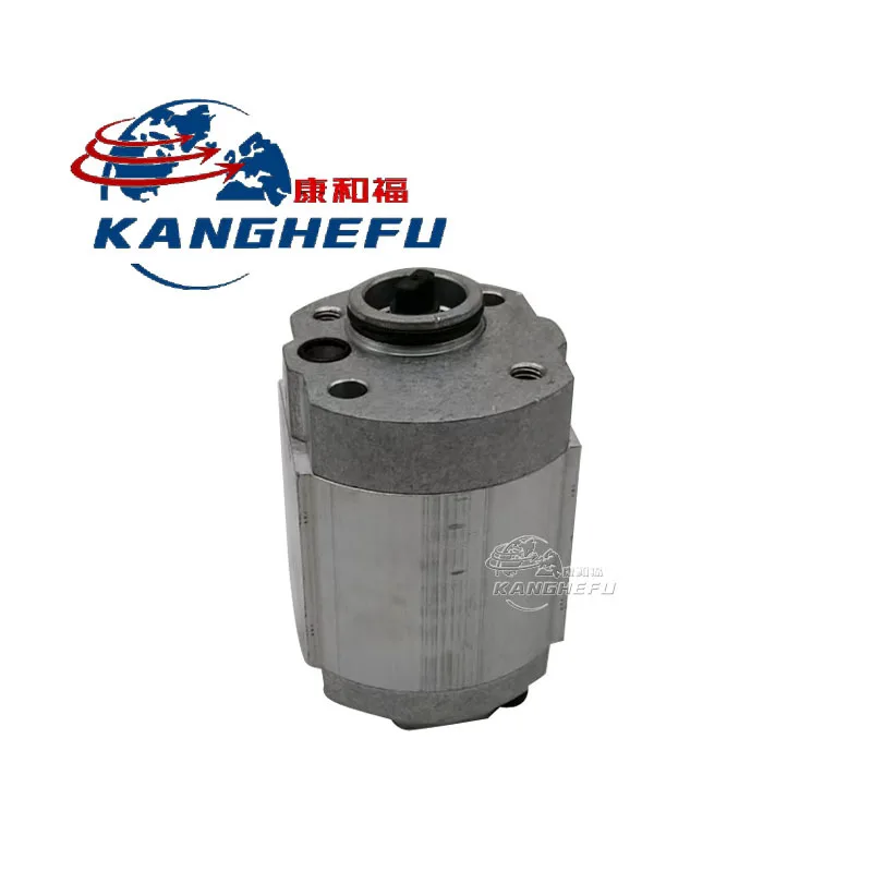 0009810495 Gear pump is suitable for Linde L14L16-1174/1173 car series forklift parts factory