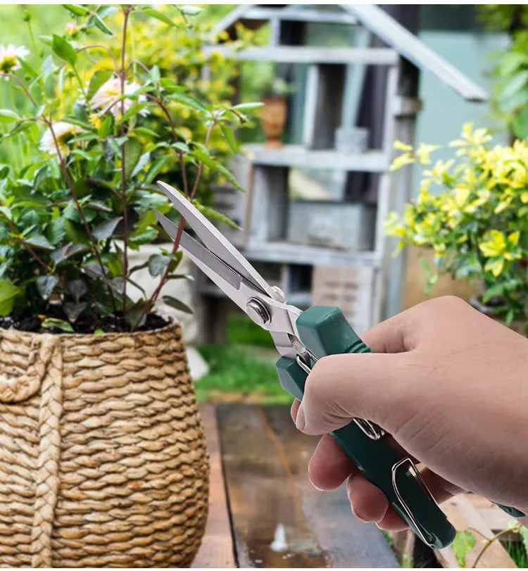 مقصات تشذيب الرأس المستقيمة مقبض مانع للانزلاق من الفولاذ المقاوم للصدأ أدوات يدوية مقص حديقة بونساي مقص Pruing القص