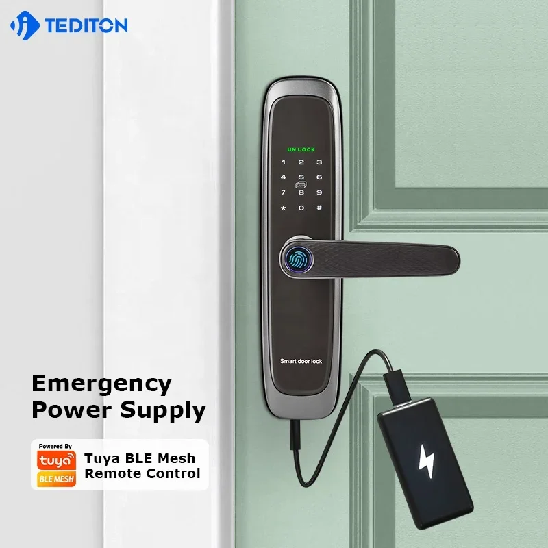 008 Tediton Tuya Kunci Pintu Pintar Harga Grosir Keamanan Rfid Digital Tuya WIFI Remote Control Kunci Pintar Sidik Jari