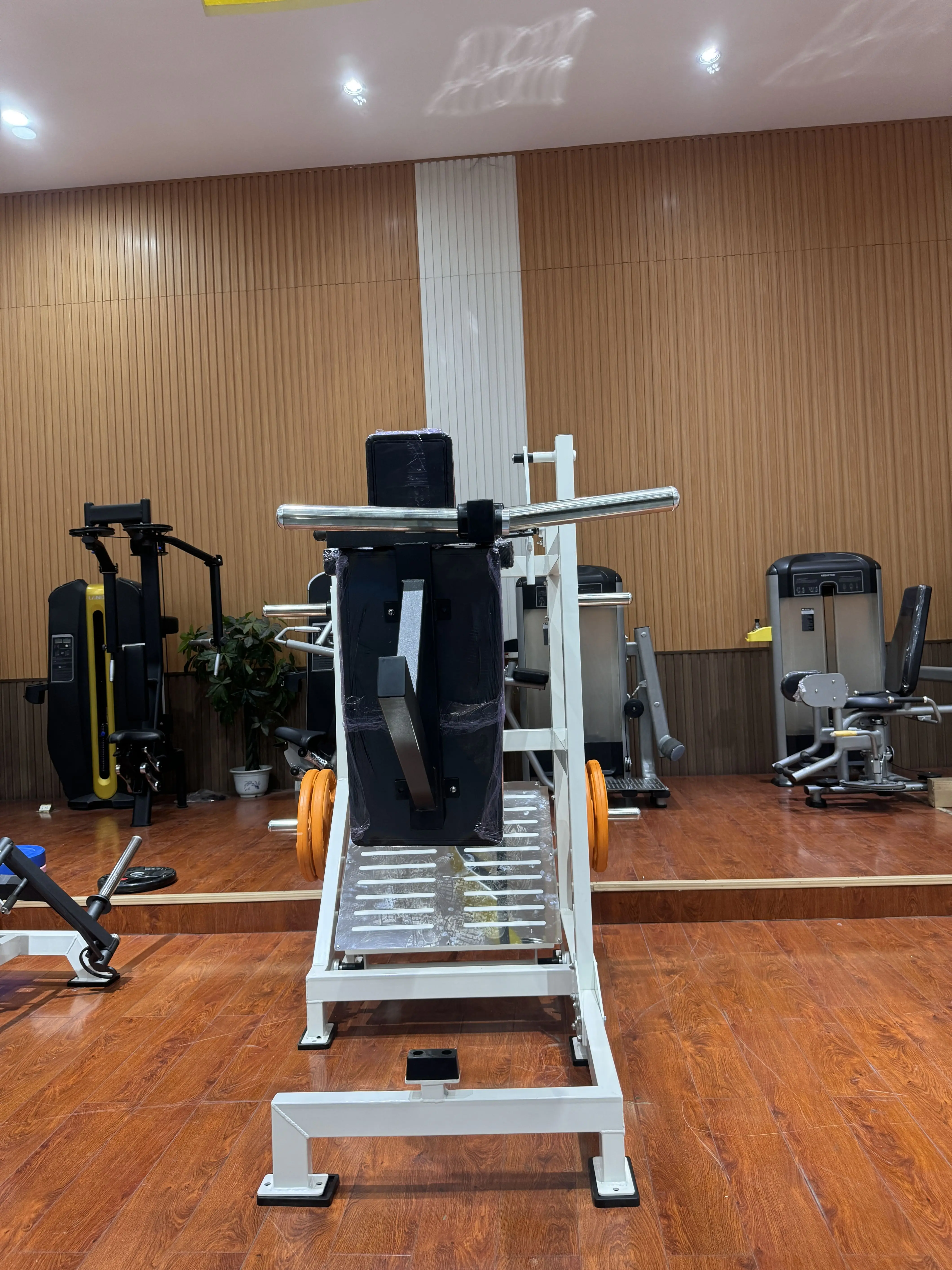 الاستخدام التجاري الأرضي للياقة البدنية معدات الصالة الرياضية اللياقة البدنية تدريب القوة Kettlebell القرفصاء المدرب للبيع