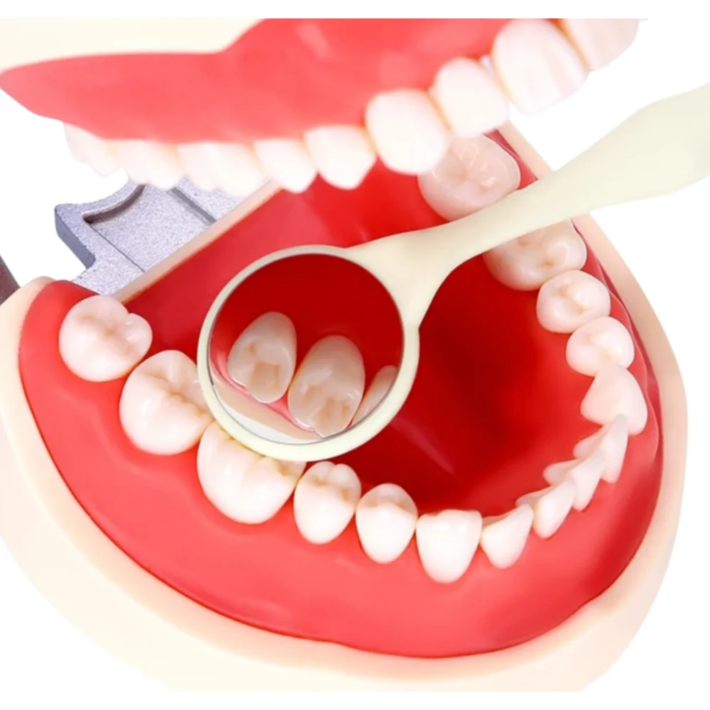 

Heat Disinfectable Dental Mirror Double-Sided Oral Mirror For Teeth Whitening, 10PCS With Handle Professional Use