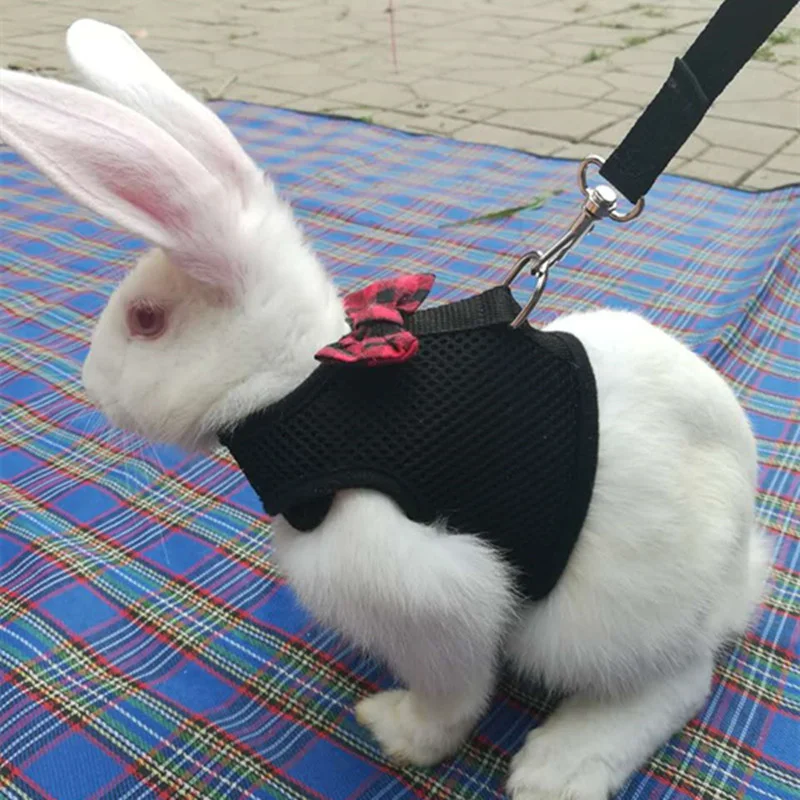 Rabbits Hamster Vest Harness With Leash Bunny Mesh Chest Strap Harnesses Ferret Guinea Pig Small Animals Pet Accessories