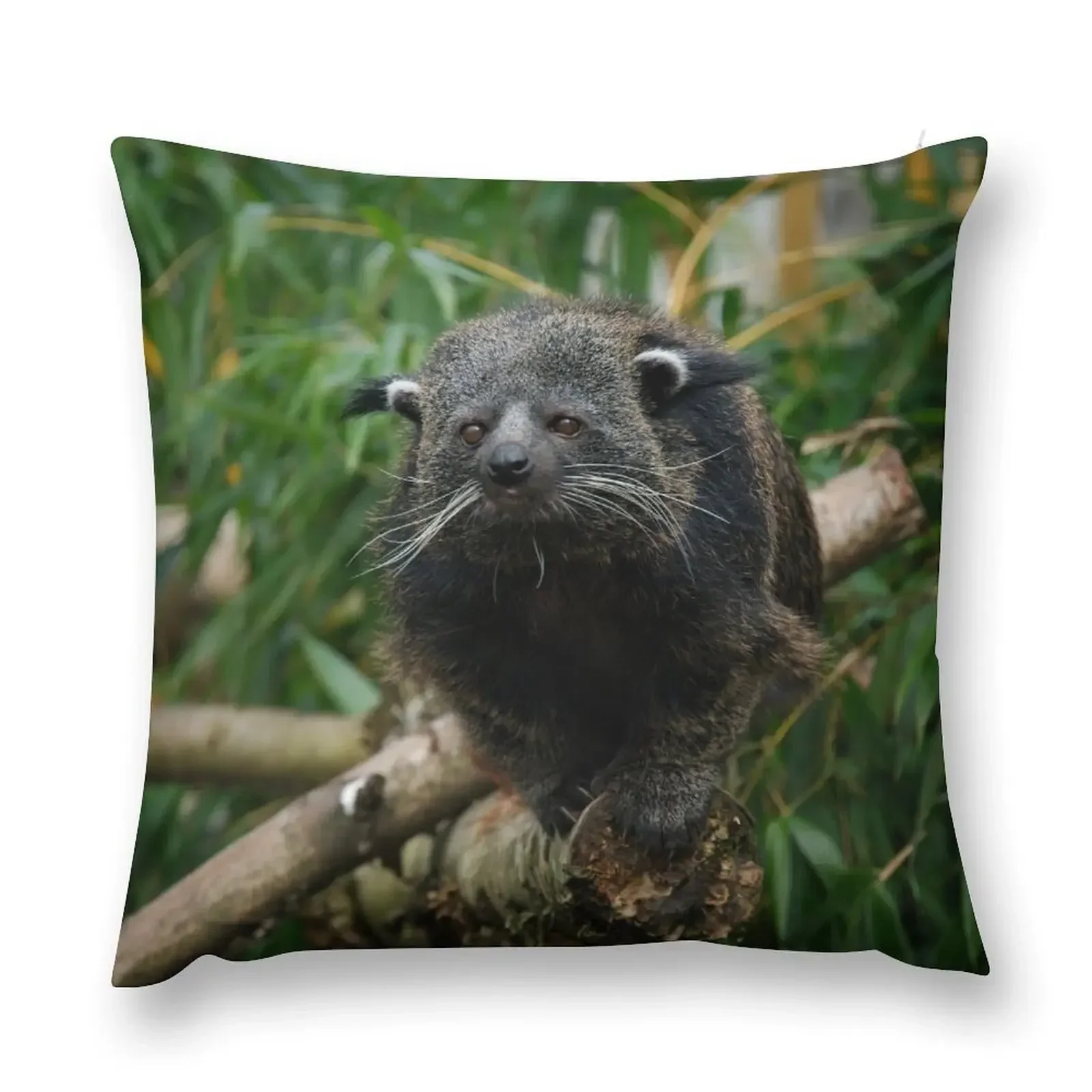 Binturong Throw Pillow Christmas Covers Pillow Decor Decorative Cushion Cover Cushion Cover pillow