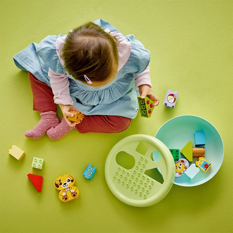 LEGO Building Blocks Discovery 10441 Shape Sorting Dog House Puzzle Toy for Kids