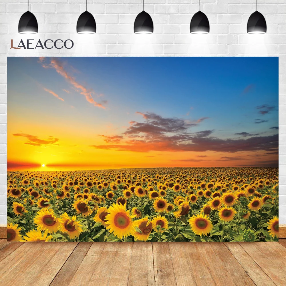 Laeacco Sunset Sunflower Backdrops for Photographers Natual Landscape Scenery Newborn Portrait Photo Photography Background