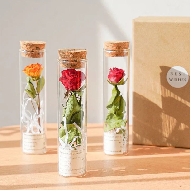 Dried Flower Glass Vase Cork Stopper Transparent Split Bottle Test Tube Vase Living Room Decoration Vase For Plants Garden Decor