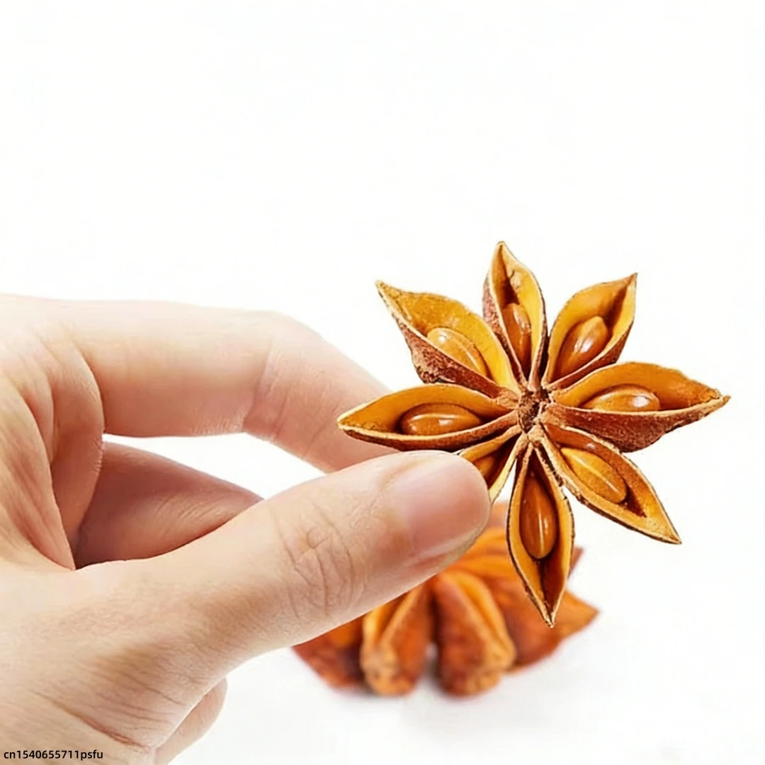 Anís estrellado premium, flor seca, condimento de cocina, especias, material para jabón, velas de boda, fragancia casera, decoración para exteriores