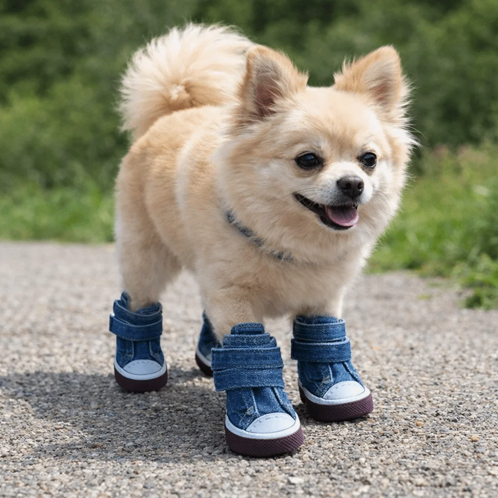 

4pcs/set Adjustable Non-Slip Pet Shoes Wear-Resistant Rubber Soles Dog Canvas Sneakers Breathable Puppy Booties Pet Supplies