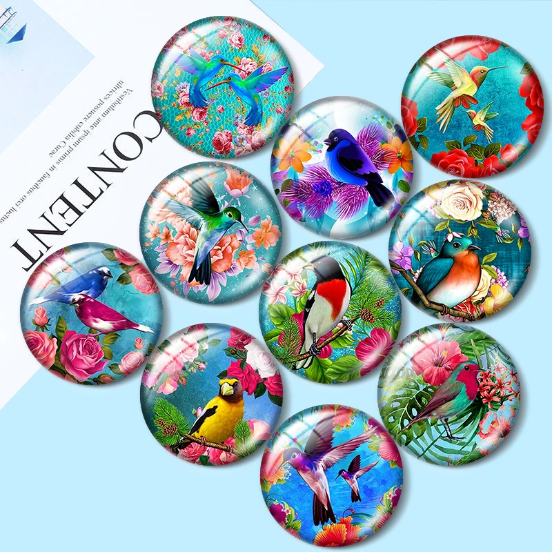 

Colorful Birds 10pcs 12mm/16mm/18mm/25mm Round Photo Glass Cabochon Demo Flat Back Making findings