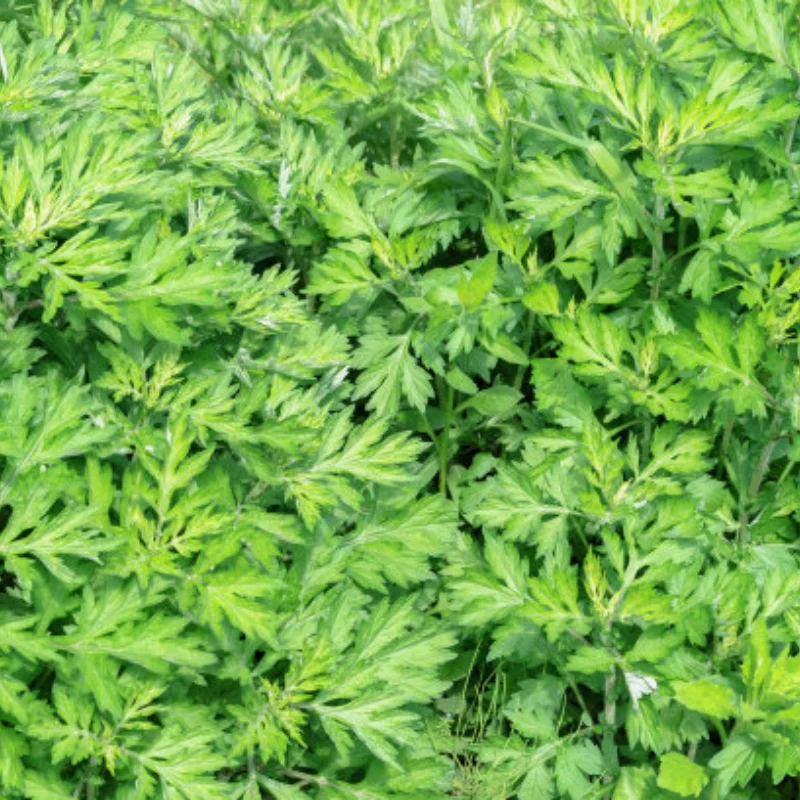 

Гоночный радиоуправляемый грузовик, автомобильные рулевые рычаги, набор рулевого моста для 1/10 Tamiya DT-04 Fighter NXGEN, обновленные детали, аксессуары