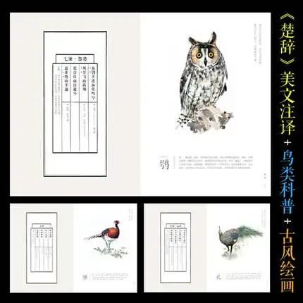 Ancient Flying Bird Watercolor Color Pencil Drawing TechniqueTutorial Book Pencil Hand Drawn Painting Book From Entry To Mastery